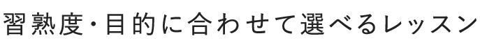 習熟度・目的に合わせて選べるレッスン